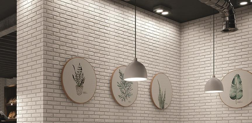 SERIE ASCOT 20X60