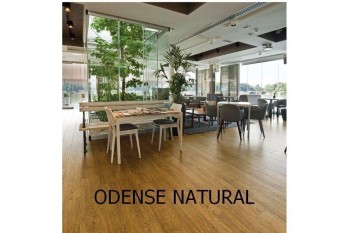 SERIE ODENSE 23,3X120